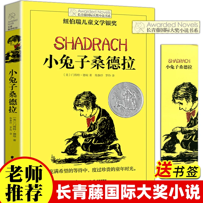 小兔子桑德拉 长青藤国际大奖小说 7-9-10-12-14外国儿童文学动