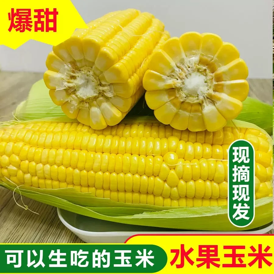 云南水果玉米太阳花新鲜现摘可生吃