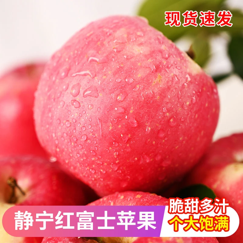 正宗甘肃静宁苹果新鲜采摘 脆甜爽口