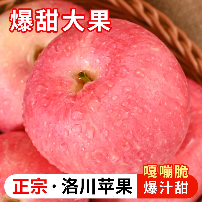 正宗洛川苹果新鲜采摘 产地货源  净重8.5-9斤