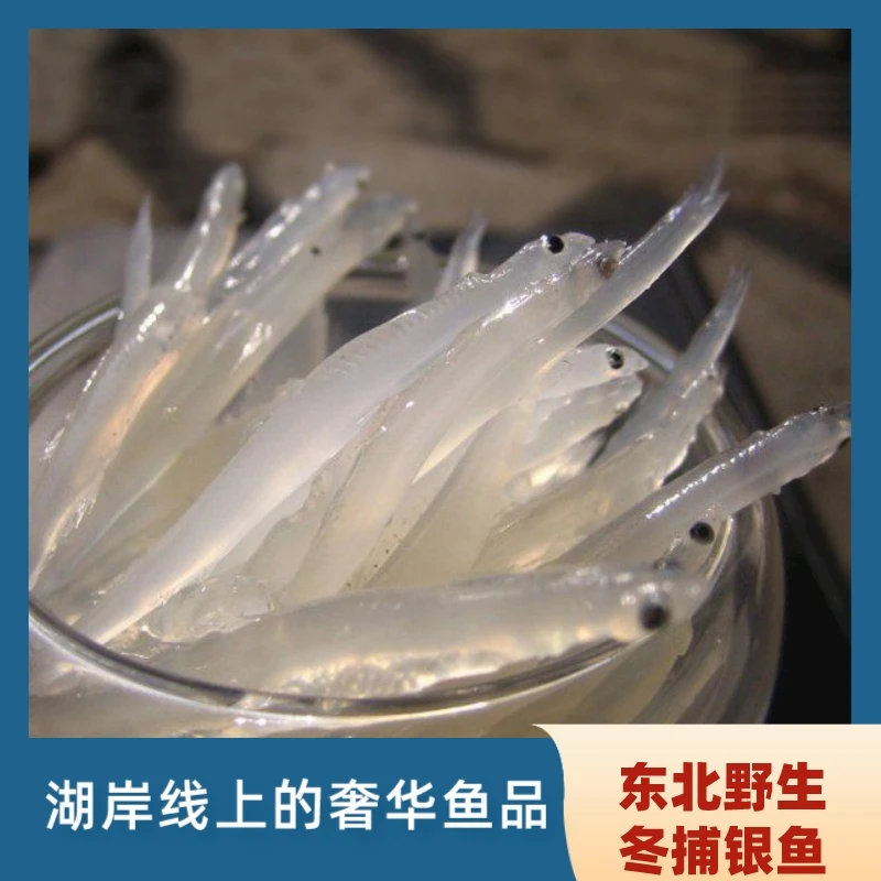 银鱼4斤装包邮营养丰富送礼佳品无骨无刺