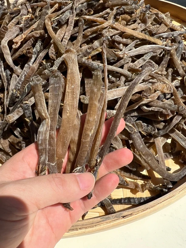 深海灰沙虫原生态 沙虫干 纯天然干净无沙