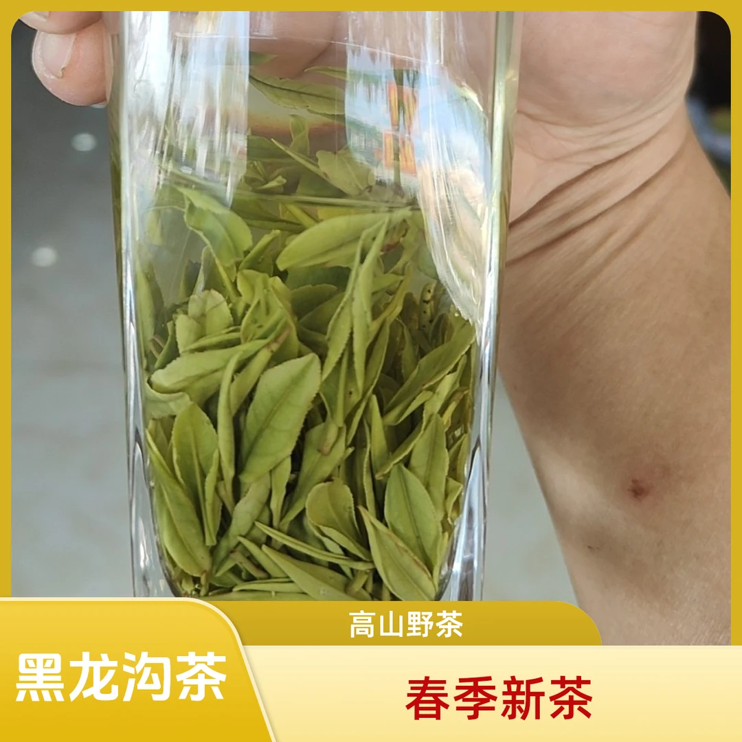 黑龙沟2024明前白茶碳火提香鲜爽回甘买贵包退