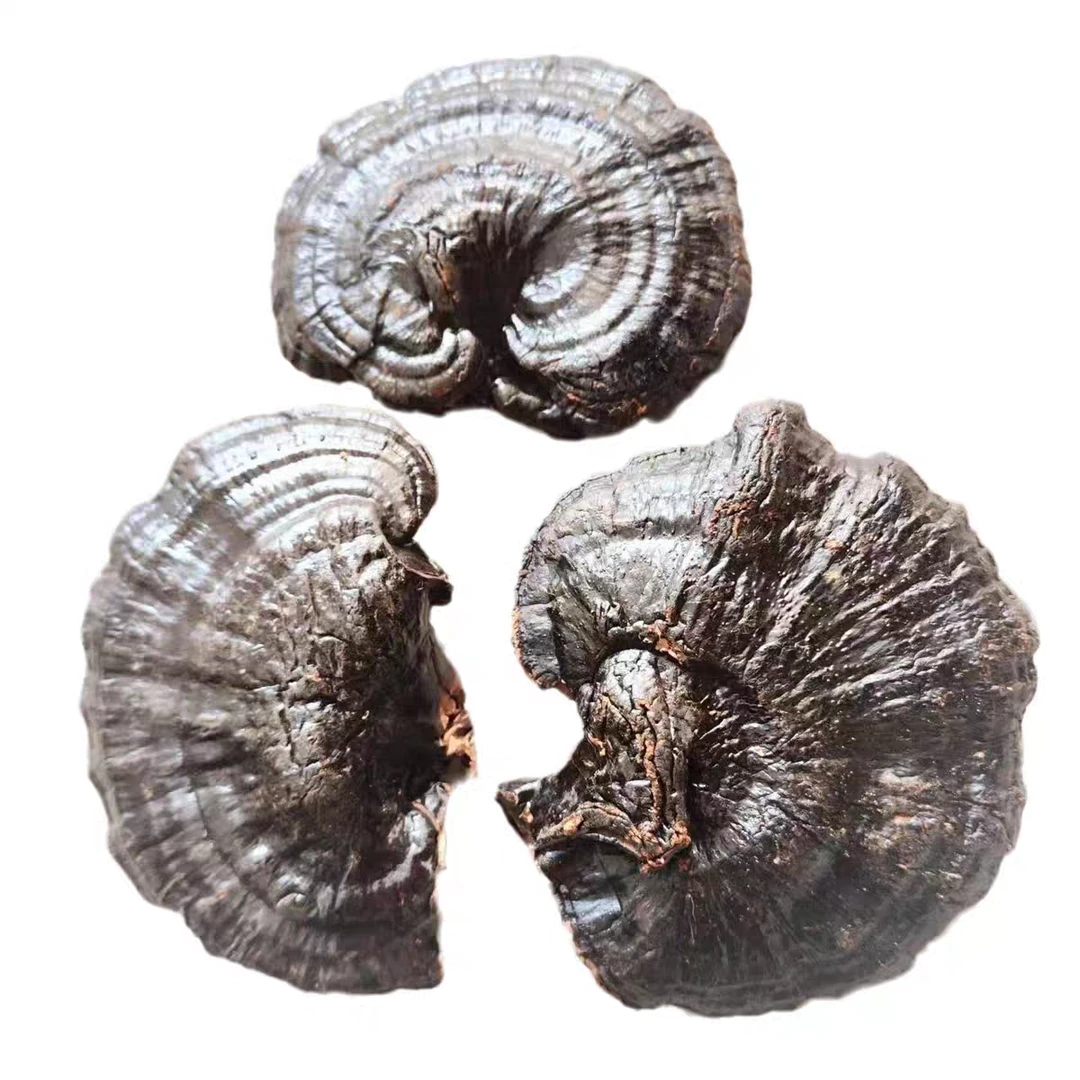 小林山里味【黑灵之】来自云南高原的滋补养生好物推荐养生原材料