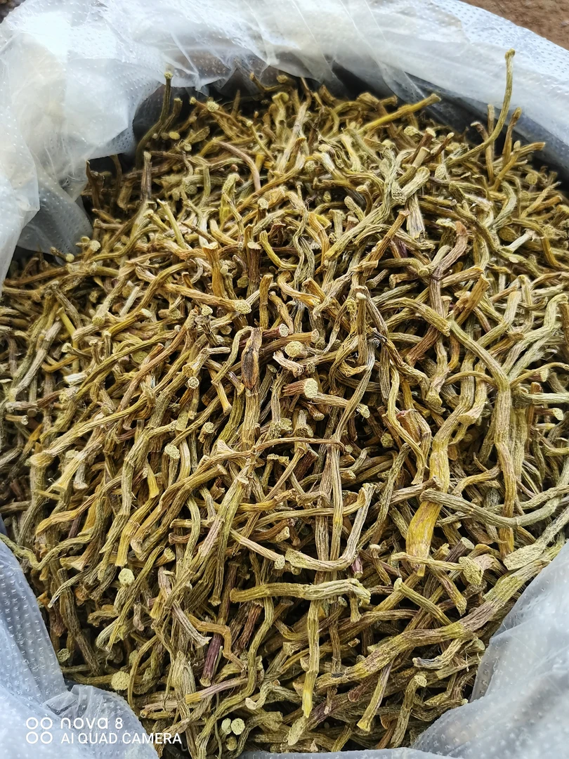 （小林山里味）铁.皮.石.虎云南特产高山高原特产250g，500g