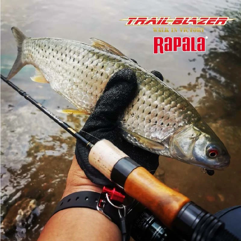 RAPALA/乐伯乐2023款开拓者四节便携远投轻量溪流马口FUJI路亚竿
