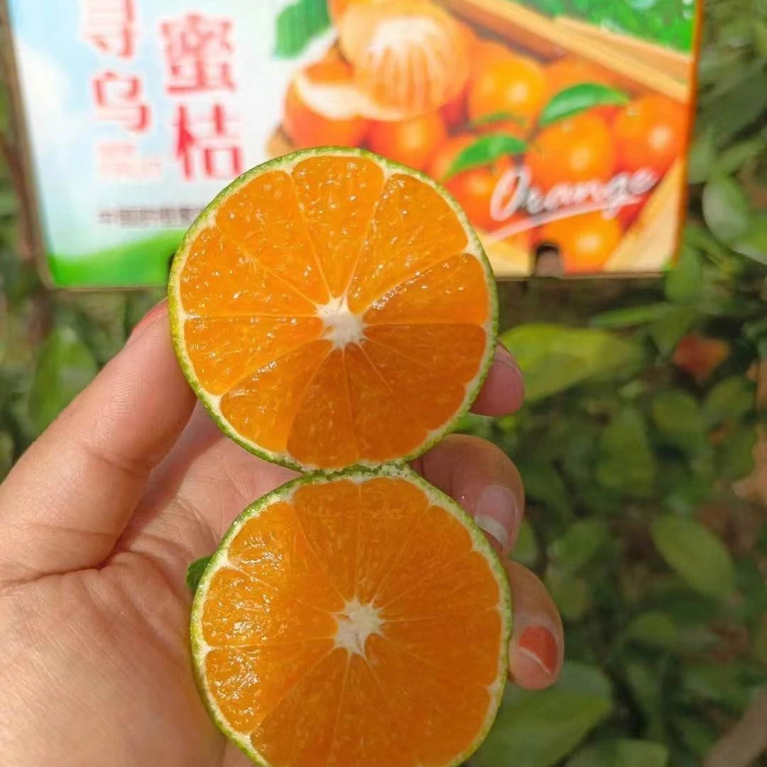 新鲜赣南寻乌蜜桔多汁中果孕妇水果品质（产地直发)4.5斤9斤