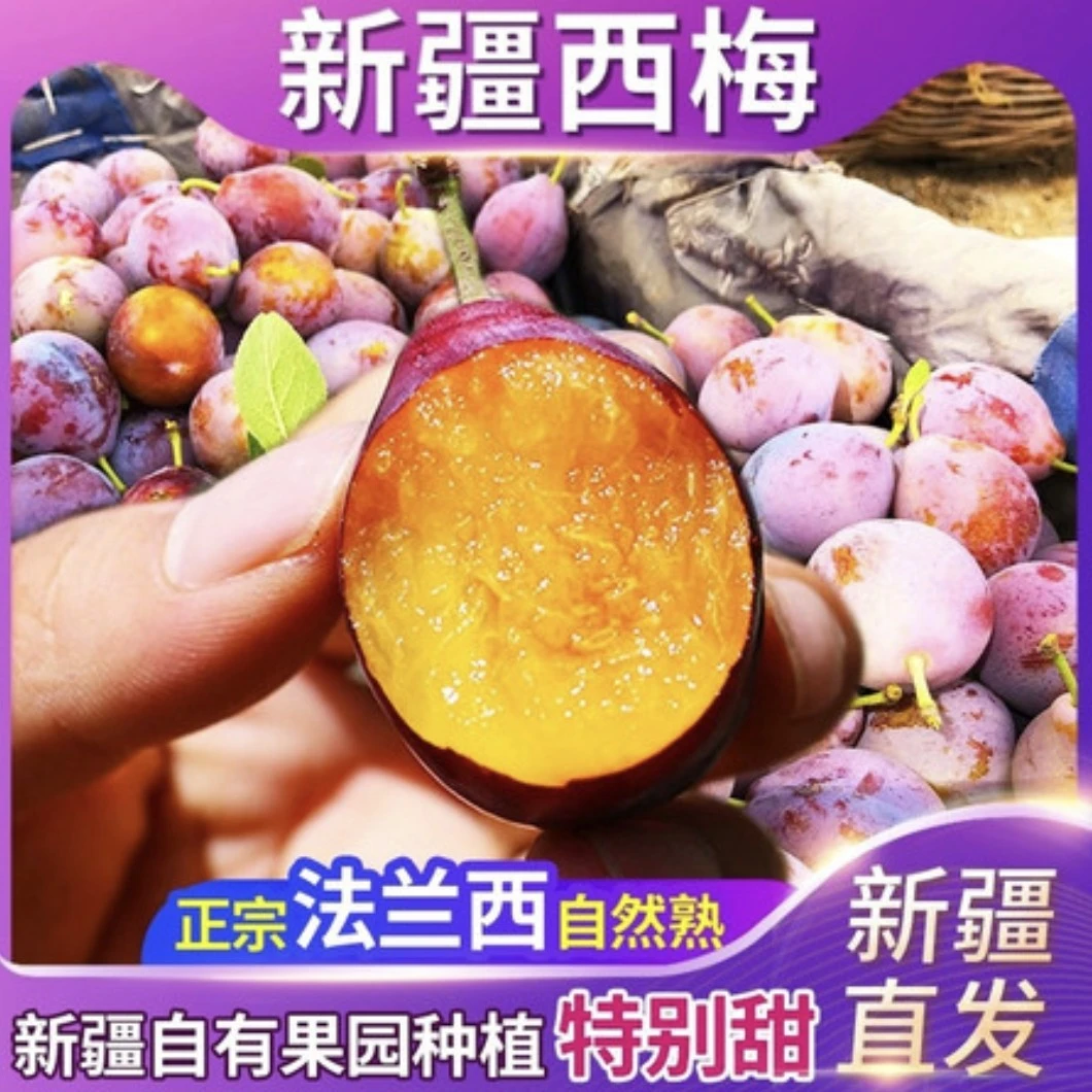 农家自产新疆法兰西西梅 麦盖提原产地发货3斤礼盒装 净重3斤/箱
