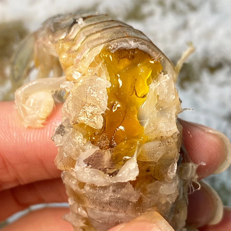 广东汕尾本港野生粗盐干腌皮皮虾红心带膏 干盐虾蛄 一盒半斤