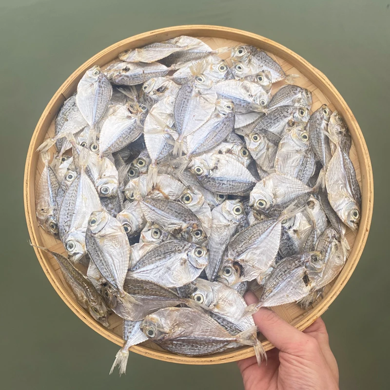 汕尾本港九梗鱼脯海产干货 咸金钱花脯斜撕吃法 潮汕金钱花鱼干