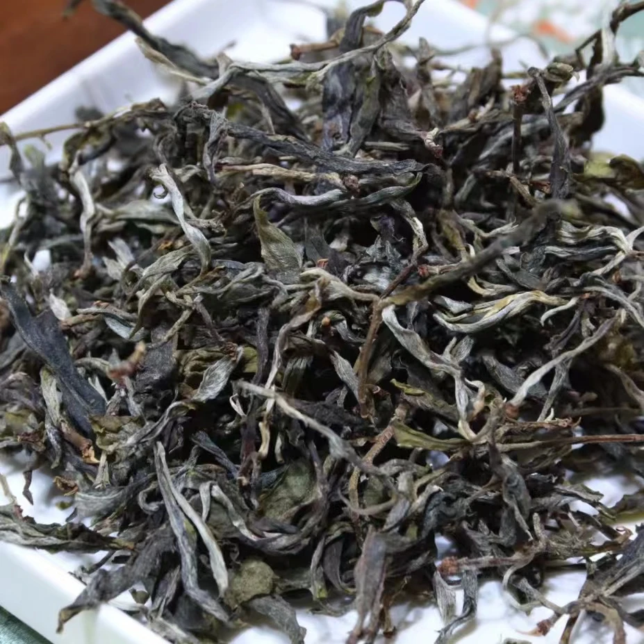 过渡型4月2号采单株