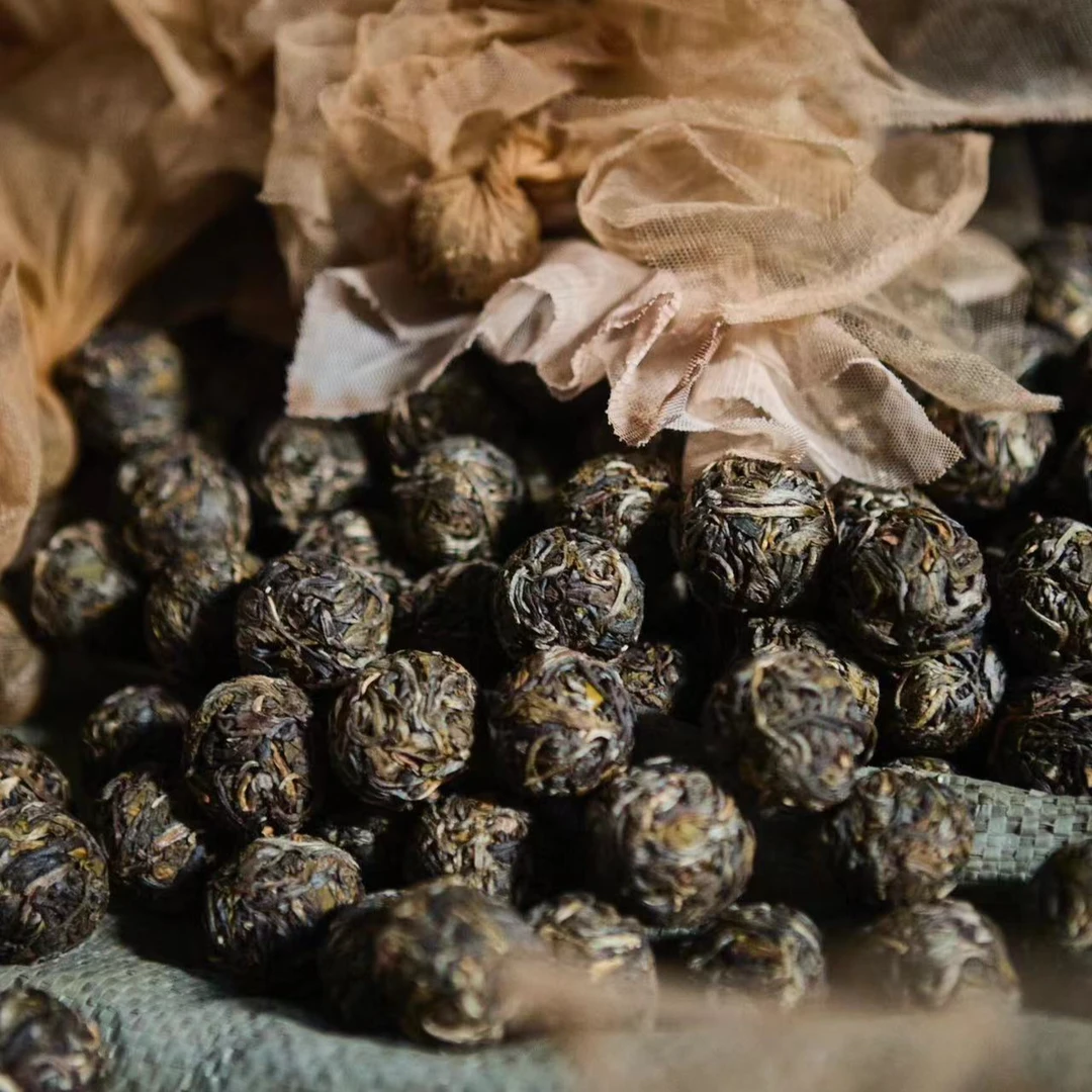 【水井头龙珠】2024