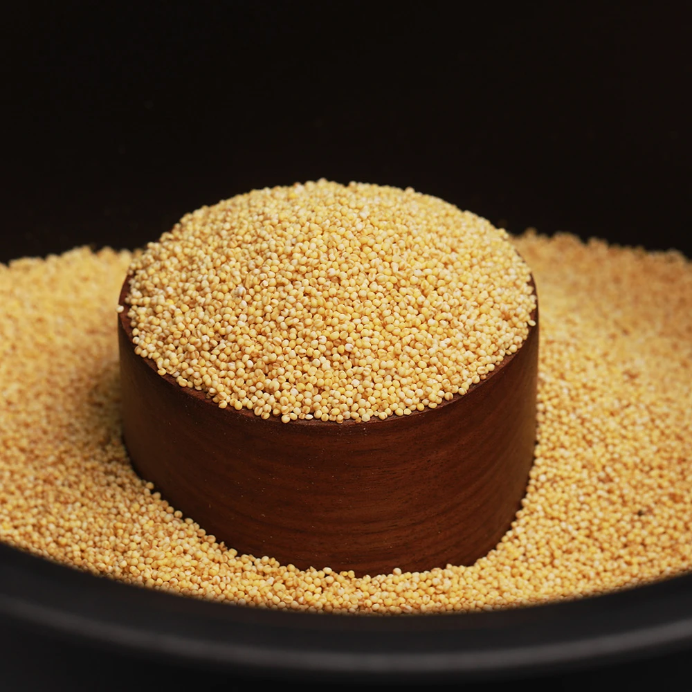 2025年新糯小米贵州高山糯小米老品种黏黄米新米五谷杂粮粗粮