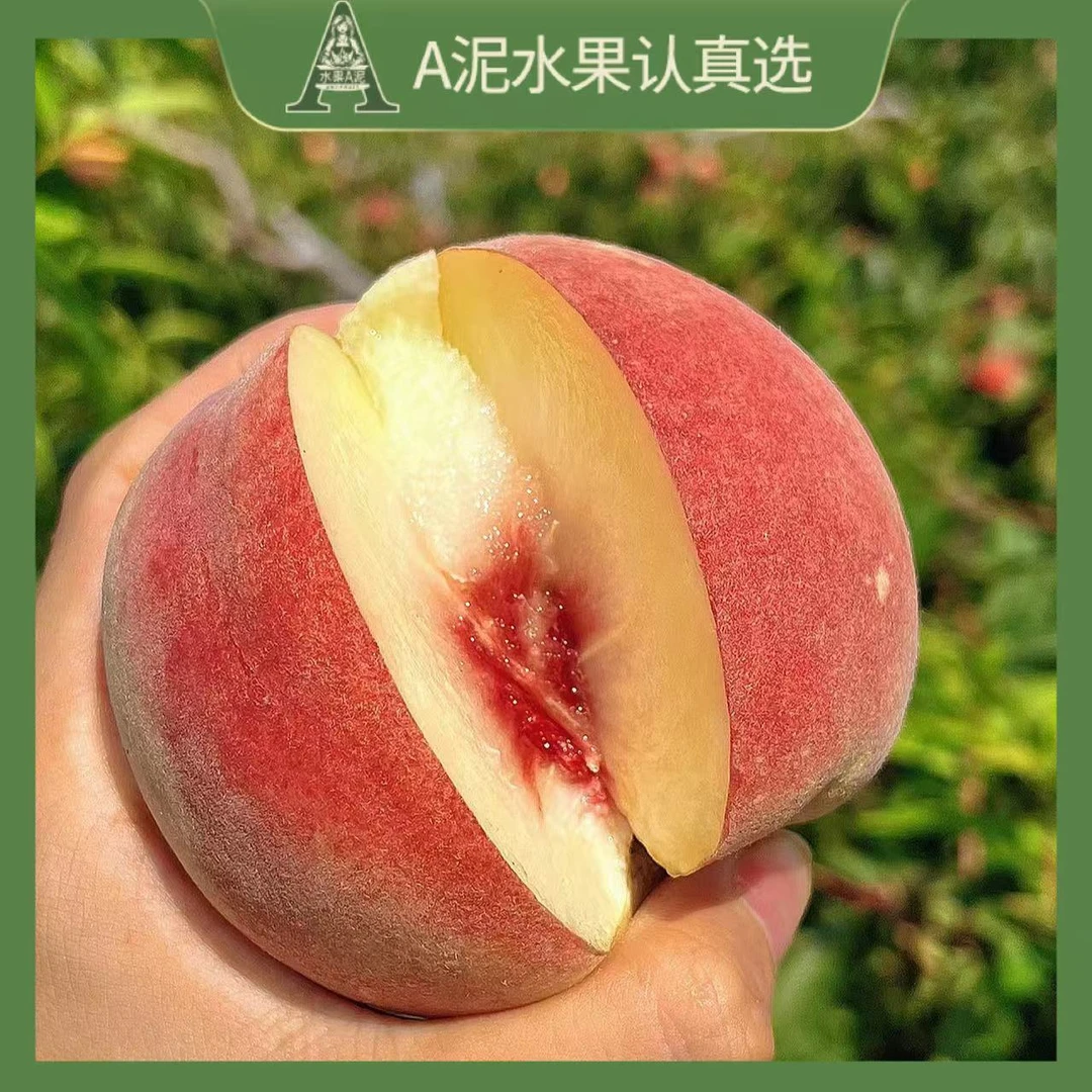 金秋红蜜桃3-5斤装 硬脆香甜当季新鲜山东桃【顺丰包邮+坏果包赔】
