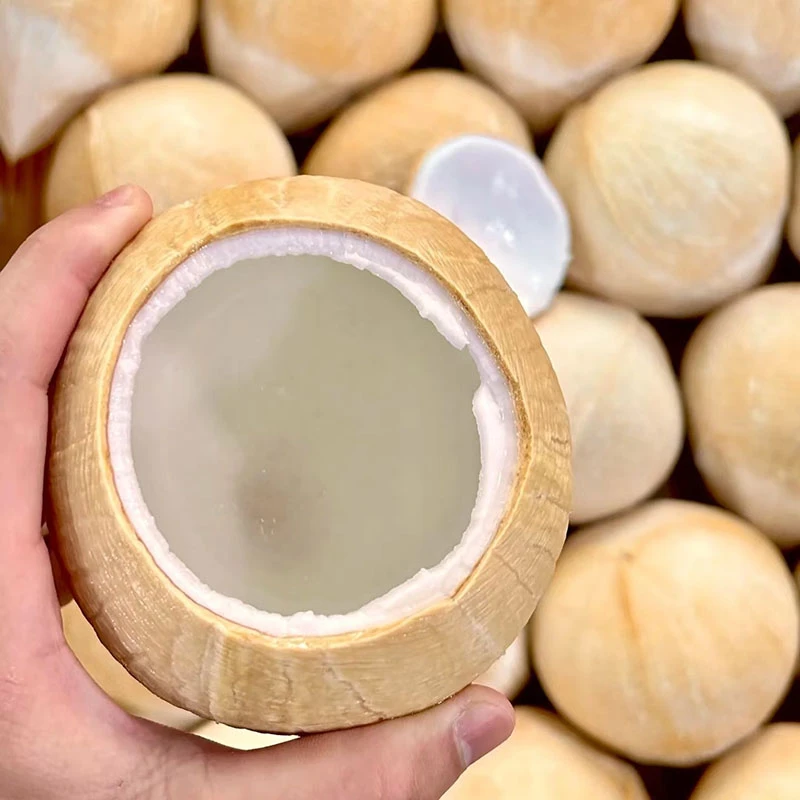 泰国丹嫩沙多老树椰皇350-650g±清甜浓香 汁水丰富