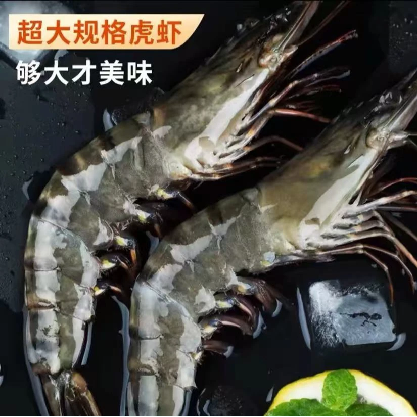 活冻黑虎虾3040规格3斤装海捕金刚虾个大肉肥