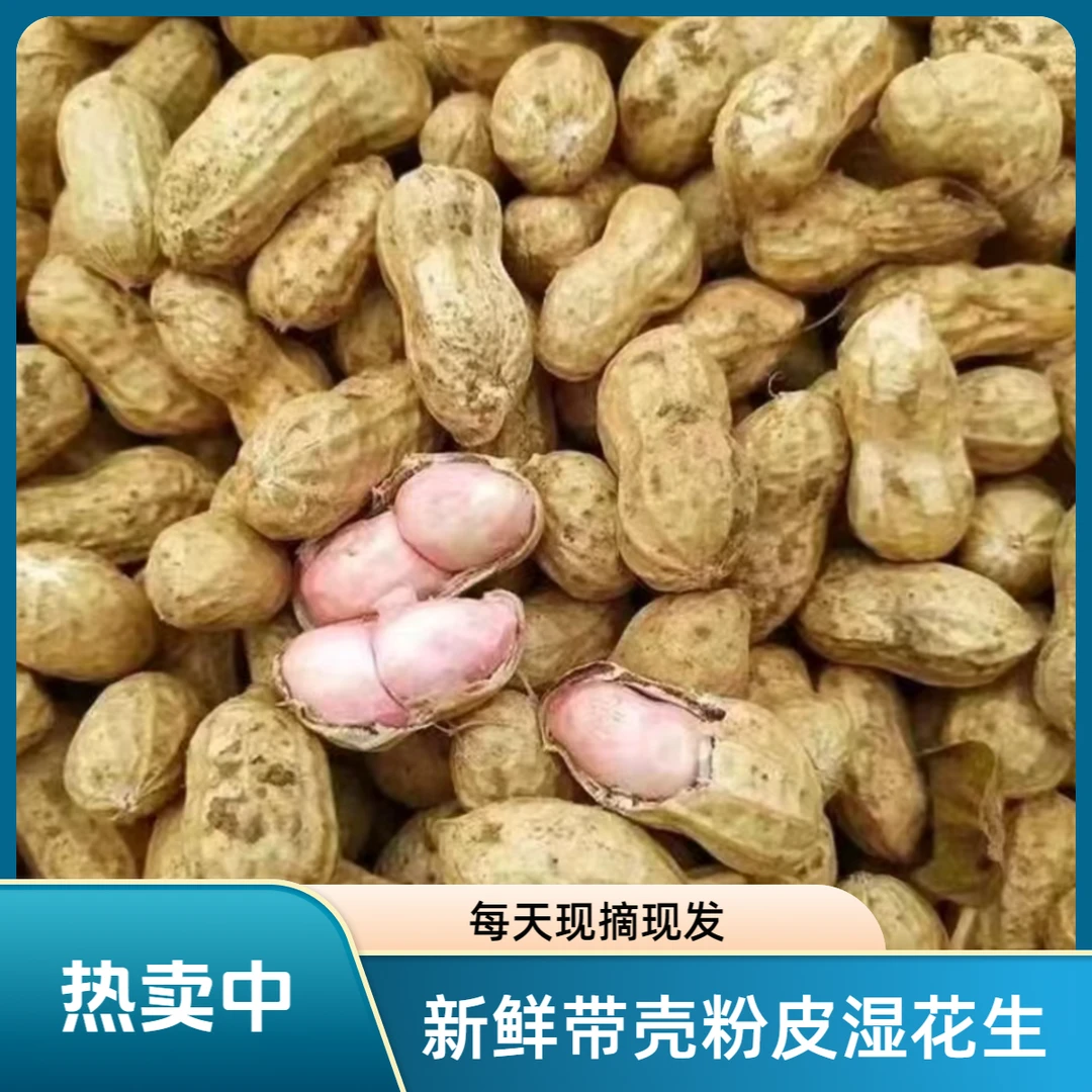 2024年新鲜带壳生花生3斤5斤10斤农产品食用发货挑选