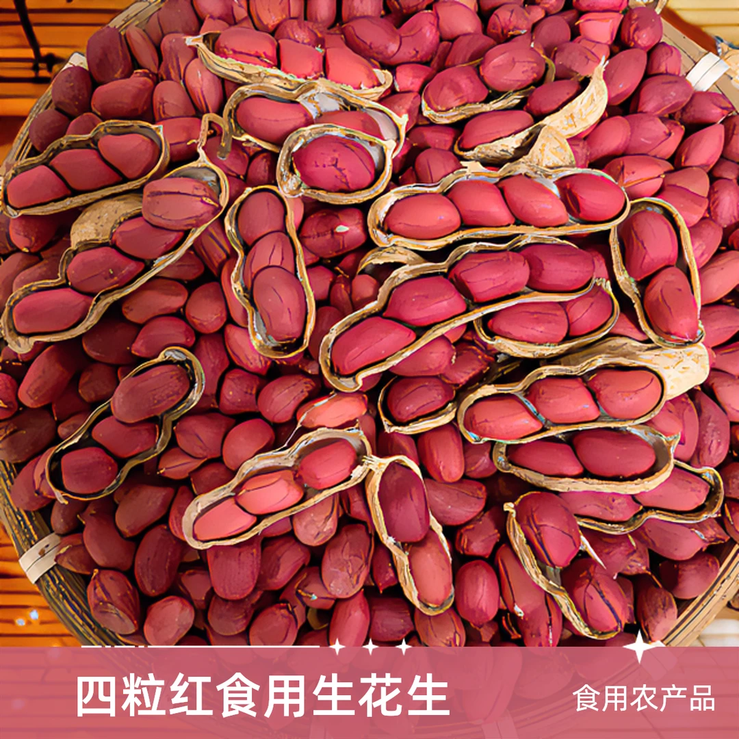 2025年四粒食用生花生红皮晒干花生5斤红皮花生生花生带壳生花生