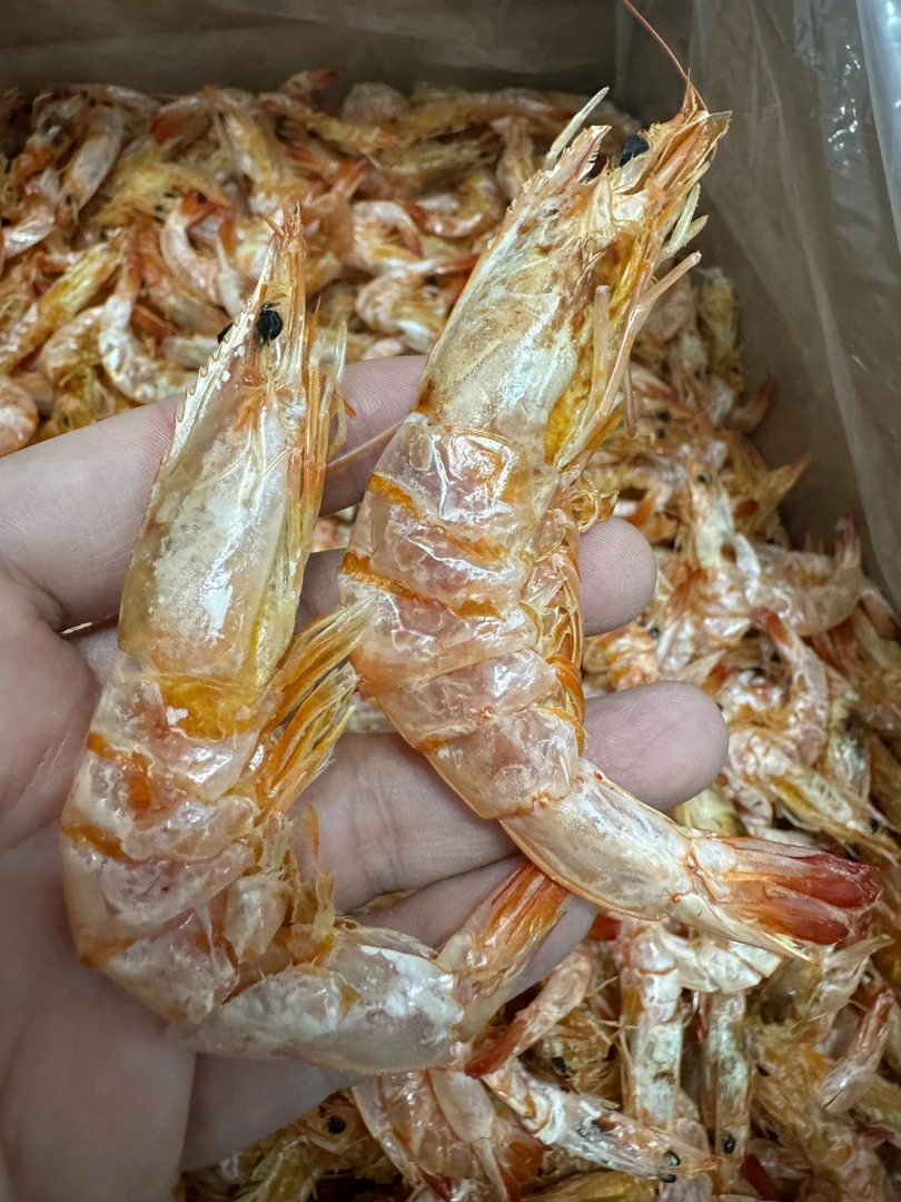 直虾 大直虾  小直虾   广东 汕尾本港即食海产品