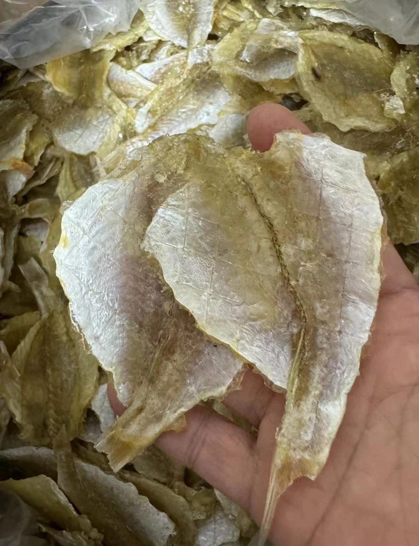 本港生开心鱼汕尾本港海产品