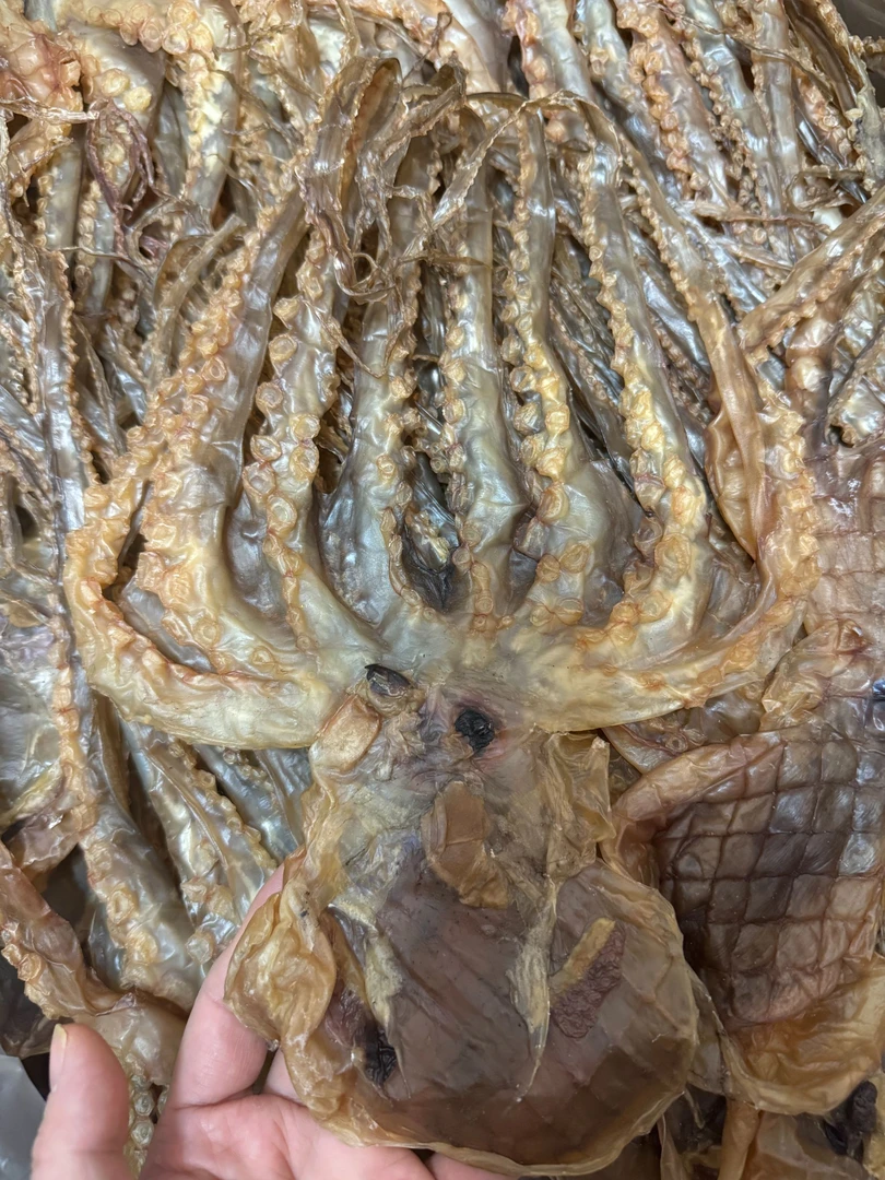 本港章鱼 胶水 海味产品特产