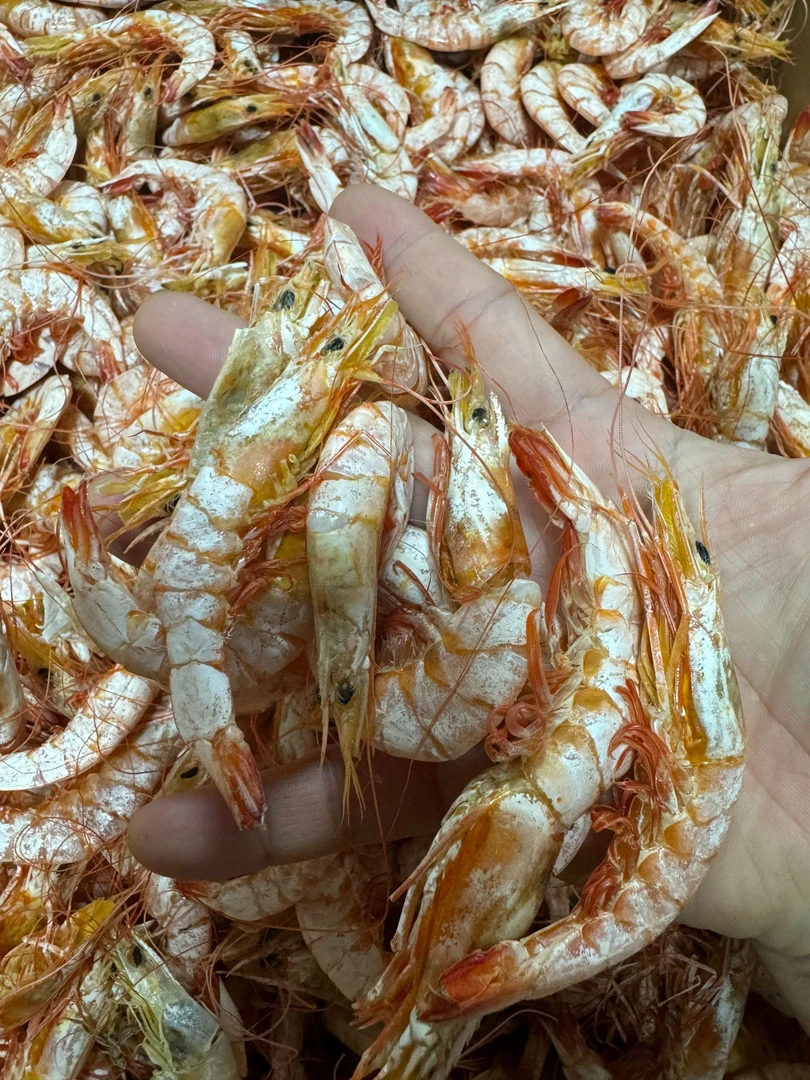 海卢虾 广东 汕尾即食海产品