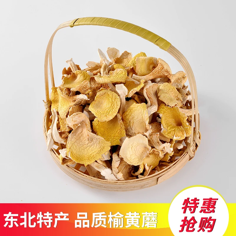 2023长白山烘干榆黄蘑250g炖鸡食用营养绿色干货手工传统天然菌菇