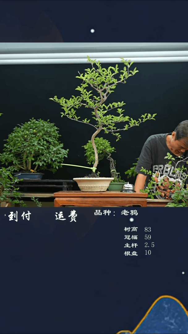 【闪购商品】229133