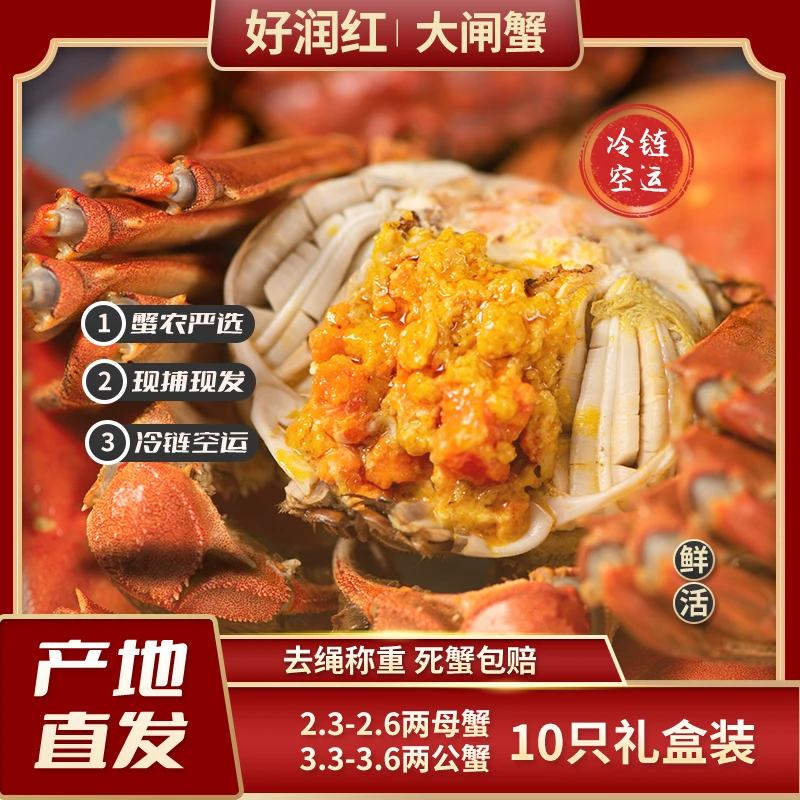 【好润红】大闸蟹2.3-2.6两母 3.3-3.6两公5对10只引江水活水养殖