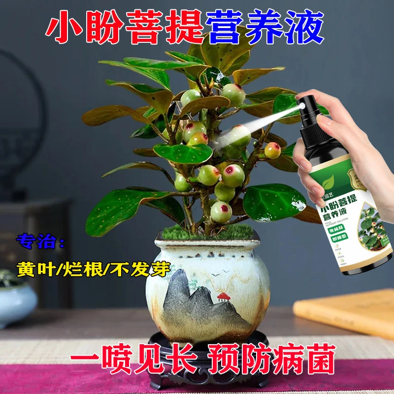小盼菩提营养液四季绿植物肥防黄叶枯萎促开花结果家用室内液体肥
