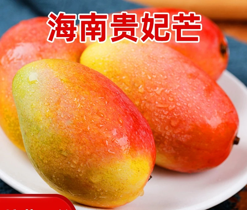 【抢购中】海南贵妃芒果当季热带新鲜水果红金龙非金煌芒小台芒产地