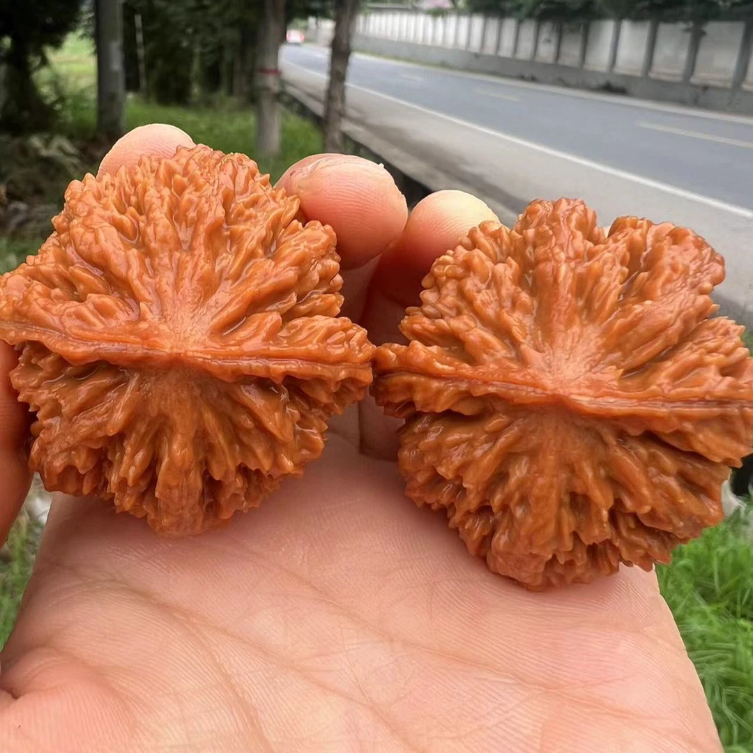 秦岭核桃灯笼精品小手捻图片仅供参考