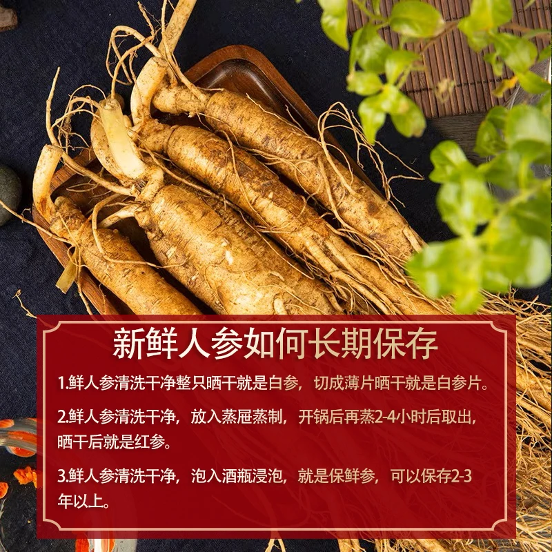 长白山现挖新鲜人参 300   新鲜人参 泡酒 送人 送礼