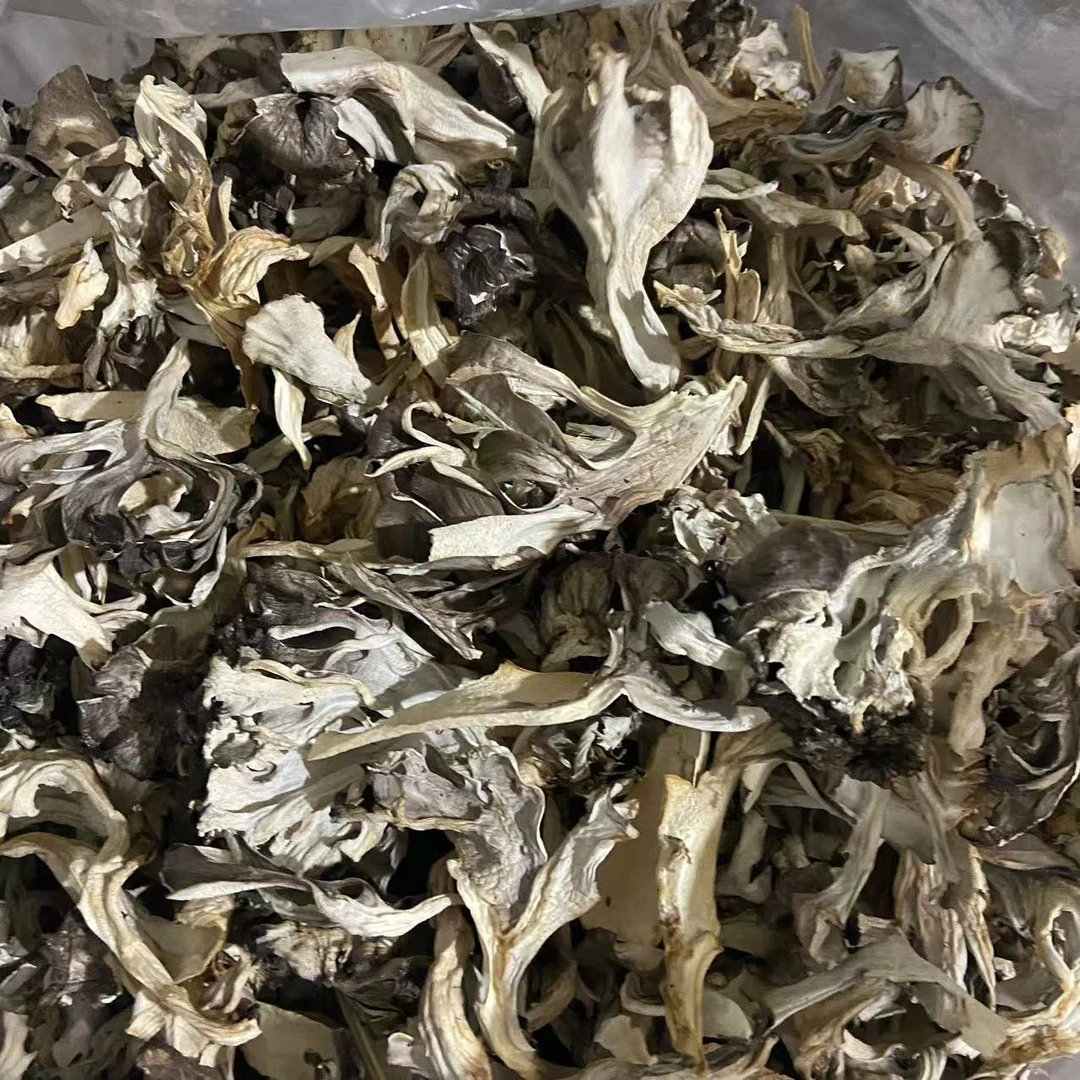 【张大庆专属】农产品迁西蘑菇干蘑菇栗蘑