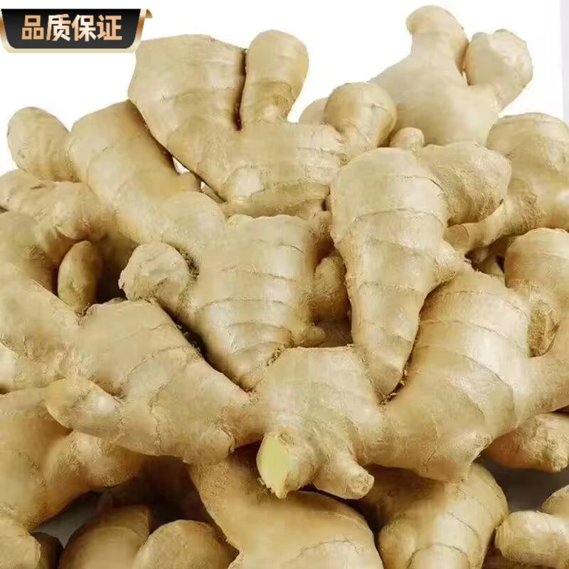 优质山东老姜生姜带箱 水洗农家新鲜现挖沙姜山东大姜鲜生姜老姜