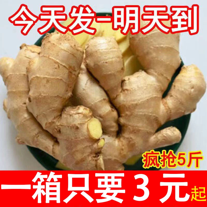 大姜鲜生姜老姜黄姜无残留新鲜当年现挖姜母月子姜出口级三斤包邮