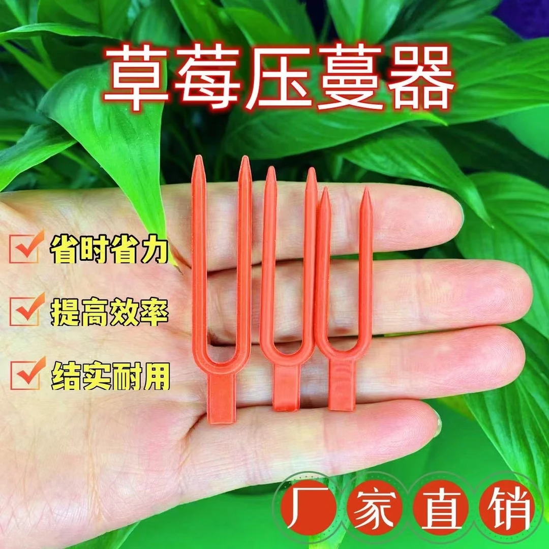 草莓压蔓器草莓塑料叉子藤蔓固定器草莓大棚专用草莓叉子厂家直销