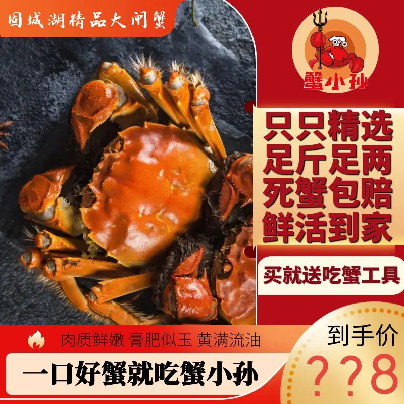 【固城湖活蟹】精品3两全母蟹十只装