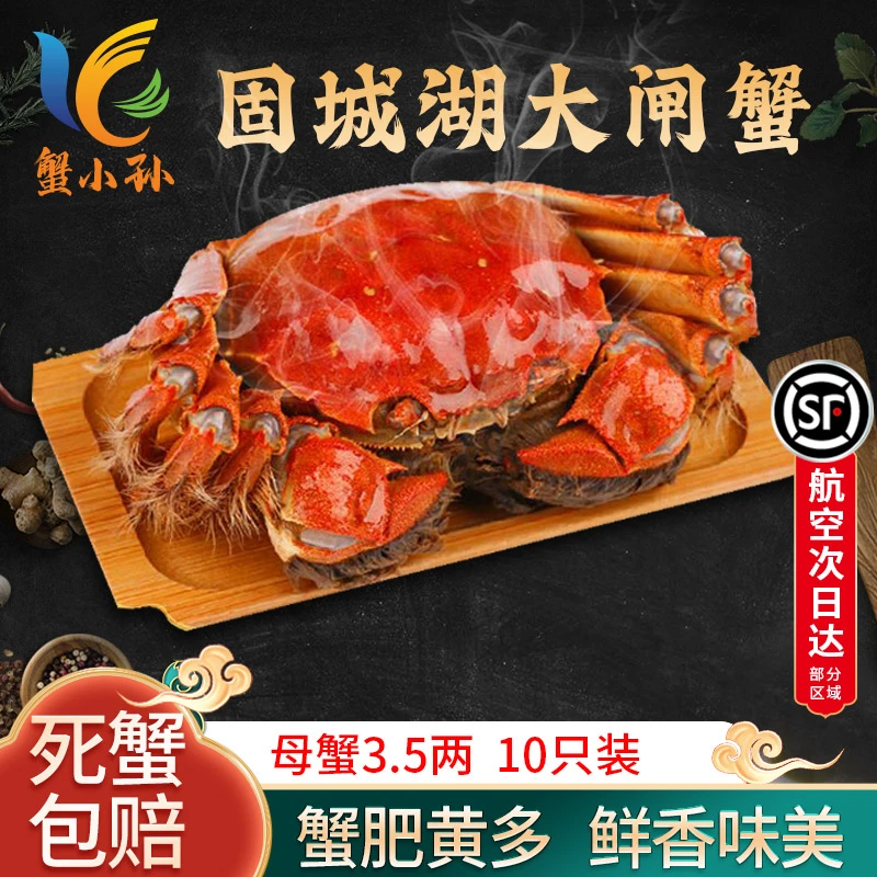 固城湖螃蟹蟹小孙精选优质大闸蟹母蟹3.5两十只礼盒装冷链发货