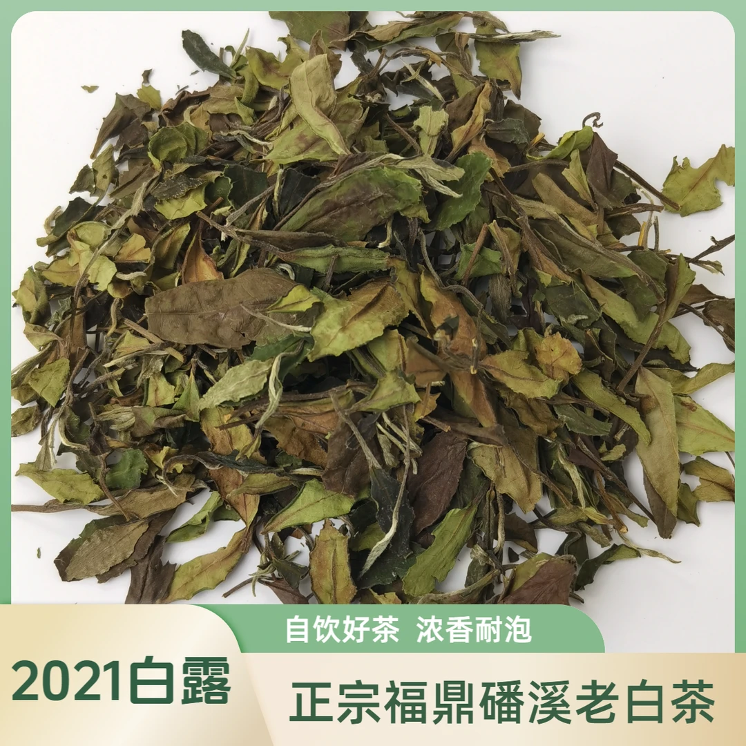福鼎白茶2021年白露茶磻溪高山寿眉花果香冰糖甜传统日晒