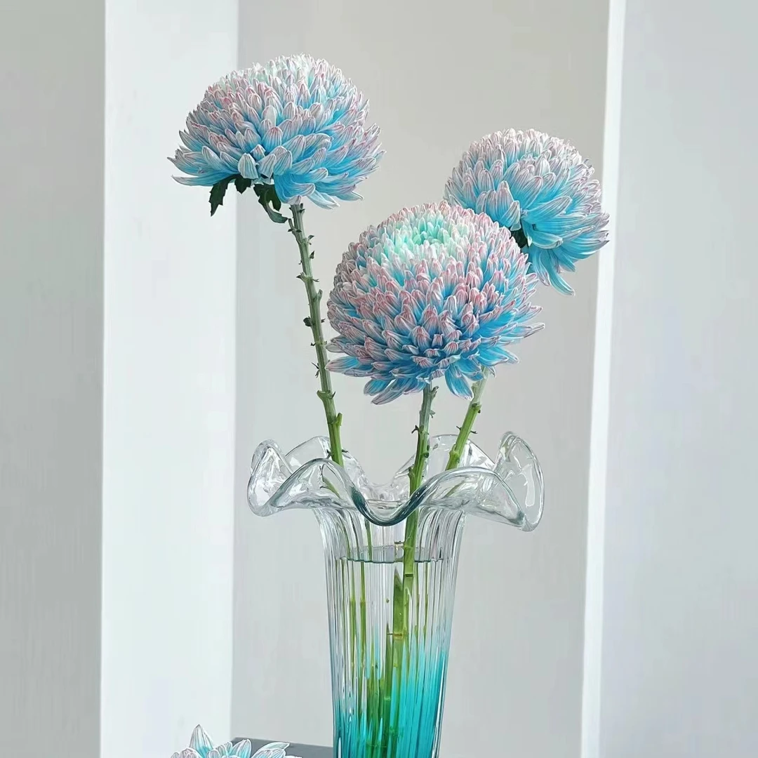 直发牡丹菊青花瓷梦幻紫家庭摆放高档鲜花【两单升级顺丰冷链】