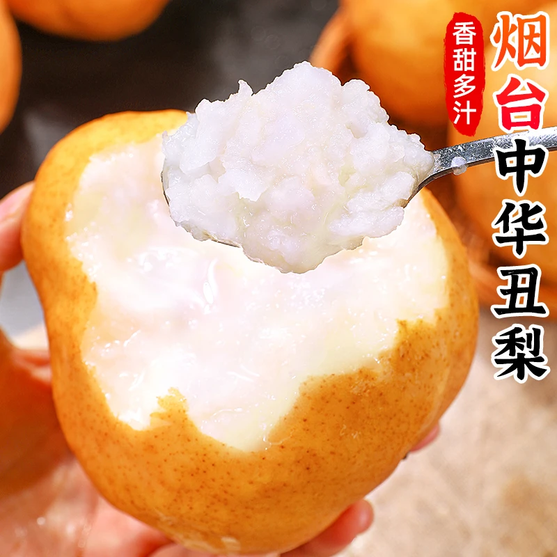 【香甜多汁】烟台中华丑梨3-4.5斤软糯梨子太婆梨啤梨大头梨水果