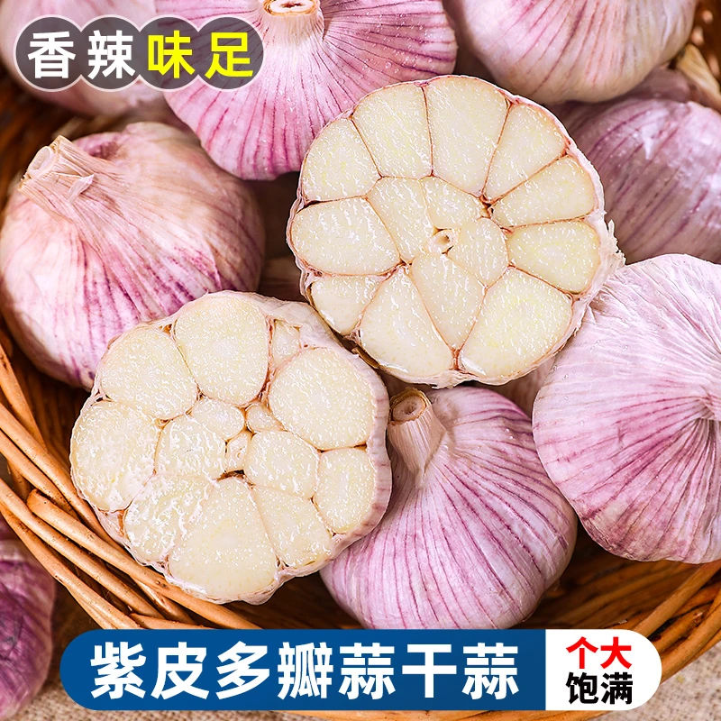 【辛辣味浓】紫皮多瓣蒜干蒜250g+老蒜饱满大蒜蔬菜非独头蒜批发