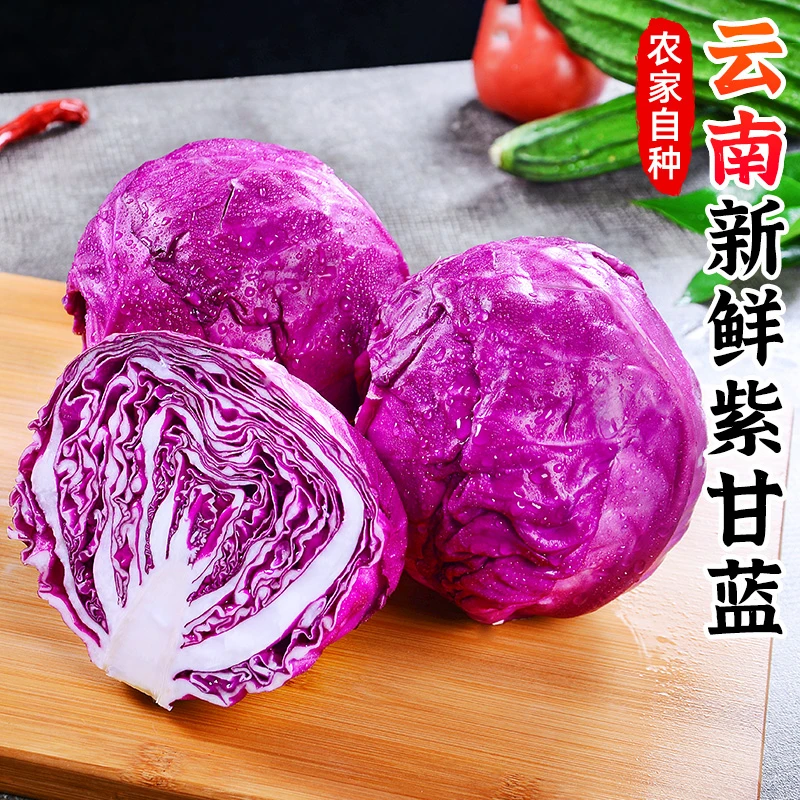 【甘甜脆爽】紫甘蓝2-10斤新鲜卷心菜包心沙拉蔬菜椰菜紫包菜沙拉菜