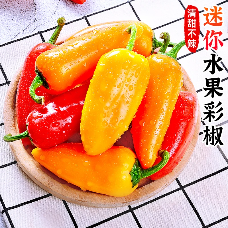 【可生食】迷你水果彩椒1-5斤甜椒水果辣椒小彩椒小辣椒甜脆沙拉