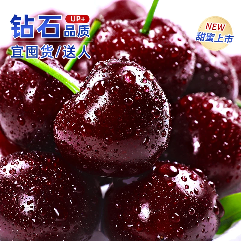 【顺丰冷链】智利进口车厘子新鲜大樱桃2500g原箱