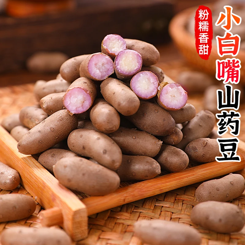 【粉糯香甜】小白嘴山药豆3/5斤山药蛋铁棍山药豆蔬菜山药蛋饱满