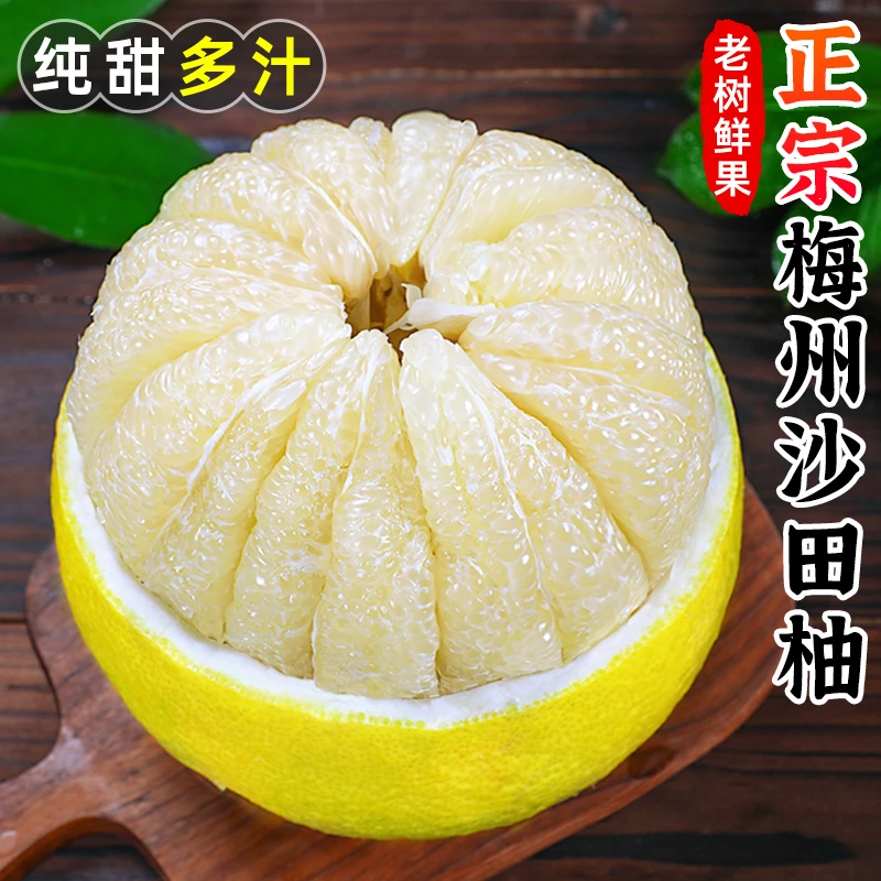 【香甜多汁】正宗梅州沙田柚4.7-18.5斤梅县白肉蜜柚白柚应季水果