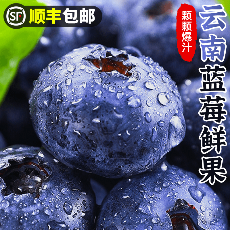 甘福园 【顺丰包邮】云南蓝莓鲜果2-12盒当季新鲜水果怡颗甜莓鲜蓝莓香甜