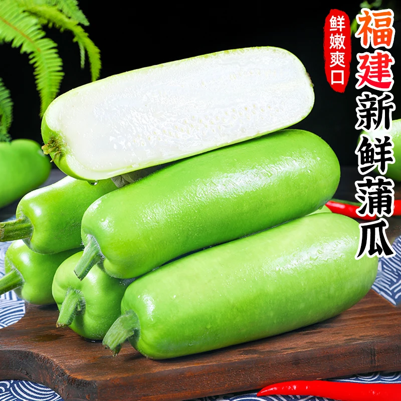 【鲜嫩爽口】新鲜蒲瓜1-5斤瓠瓜当季农家西葫芦瓜短葫芦瓜新鲜蔬菜